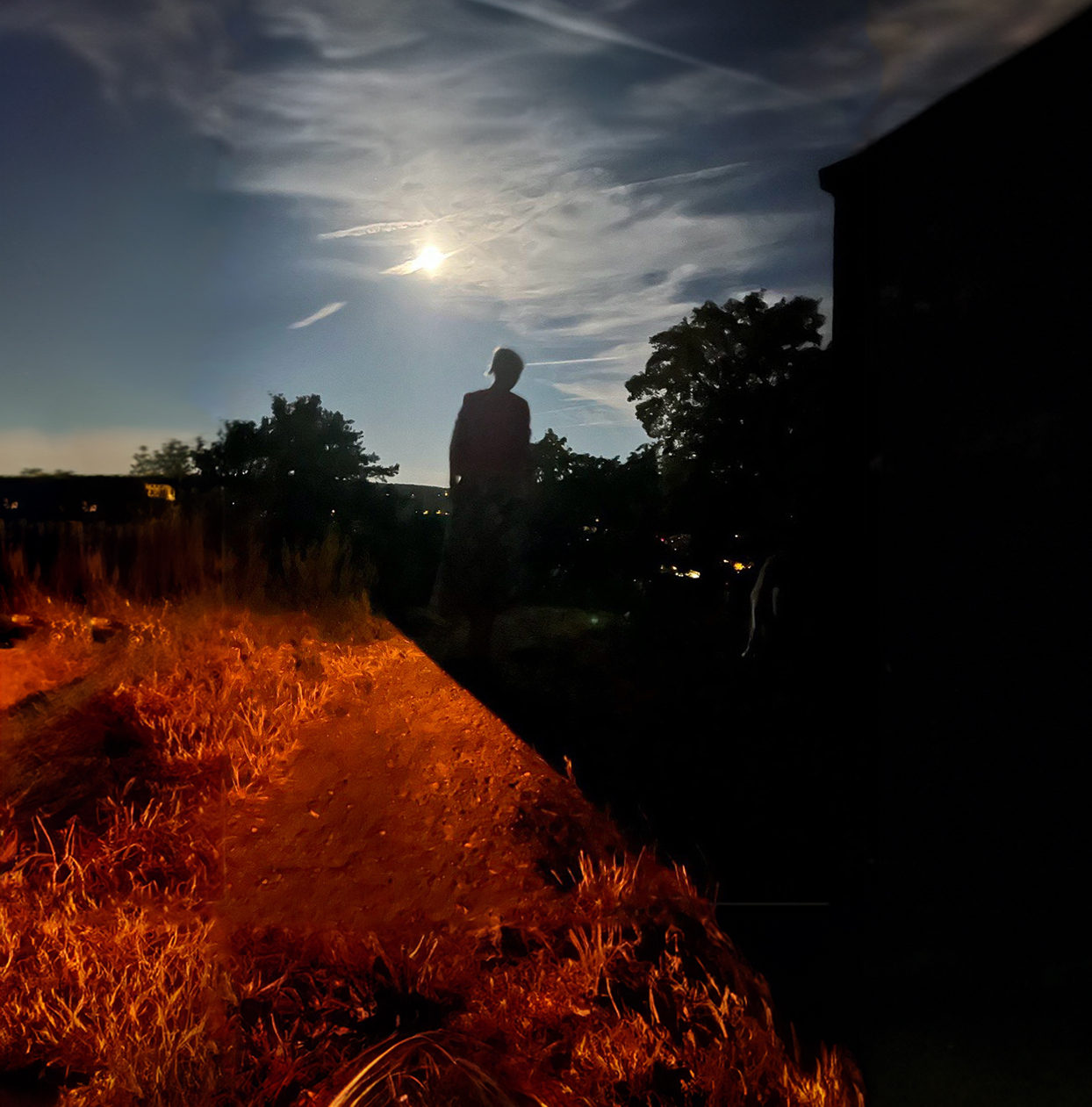Silhouette von Dorothea Lanz auf einem Feldweg